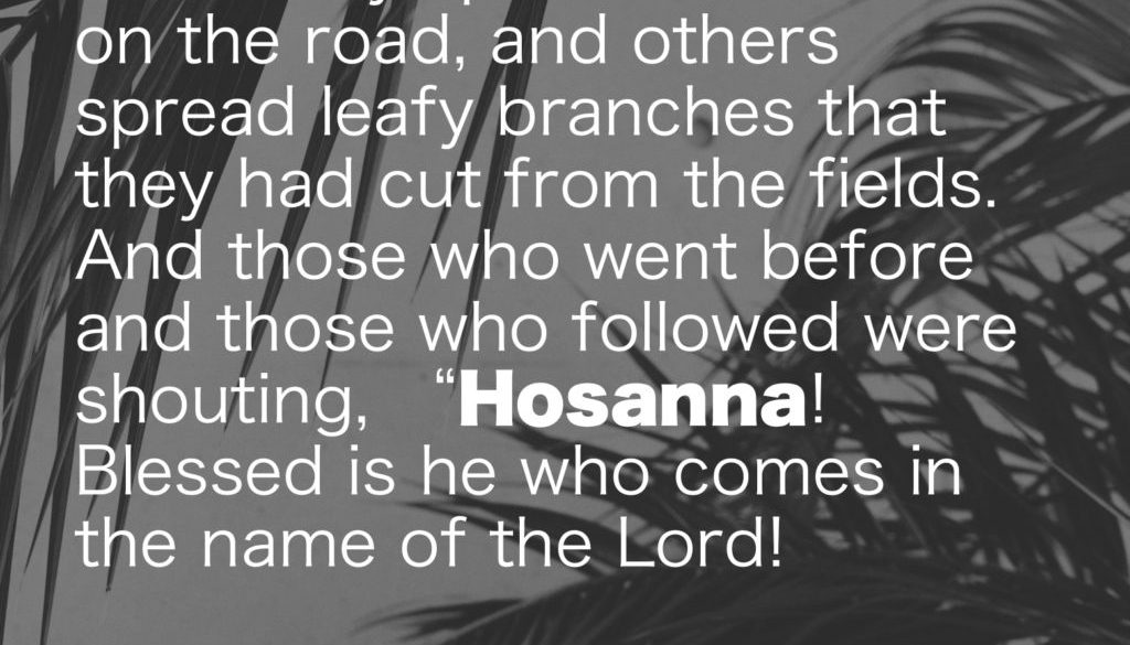 Unburdened SCRIPTURE - WEEK 6 (Palm Garbage)